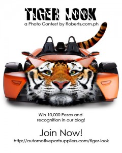 Tiger Look Tiger Look