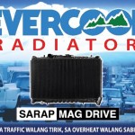 Evercool Radiator